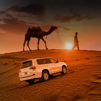 Evening Desert Safari